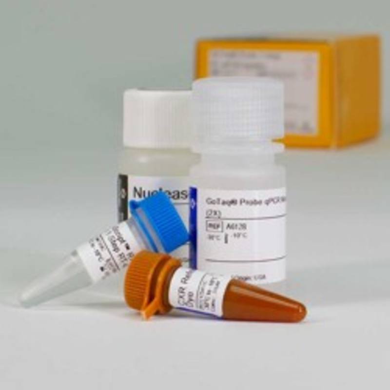 GoTaq(R) Probe 1-Step RT-qPCR System, 12.5ml