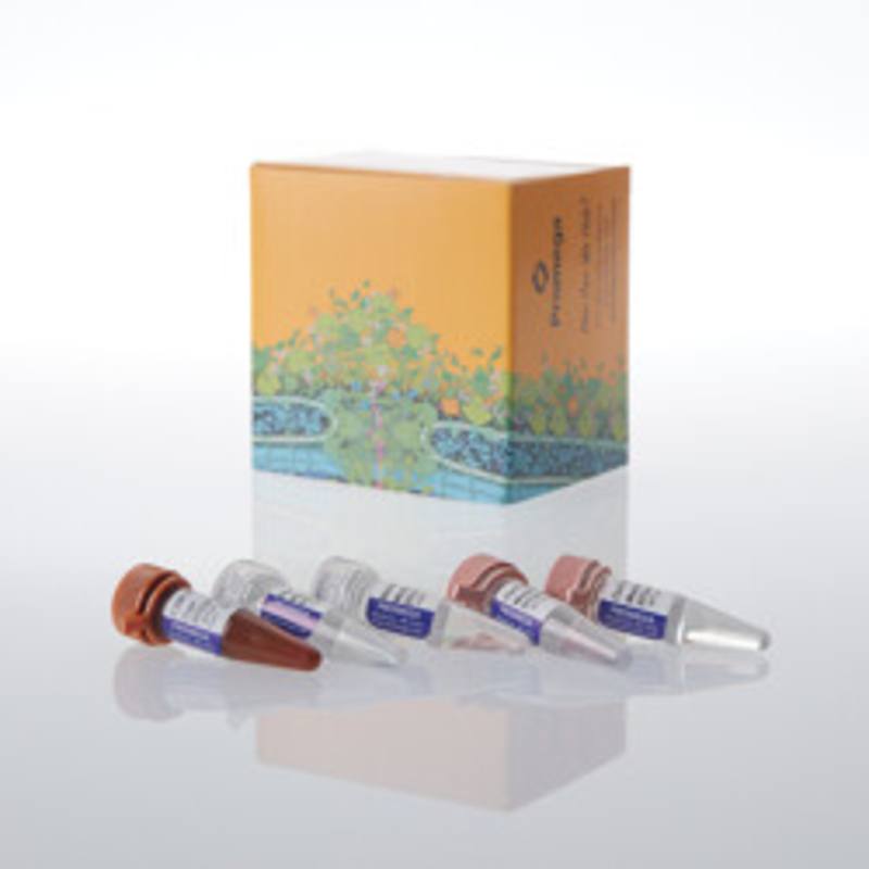GoTaq(R) Endure qPCR Master Mix, 200 rxn