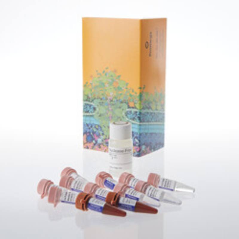 GoTaq(R) Endure qPCR Master Mix, 1000 rxn