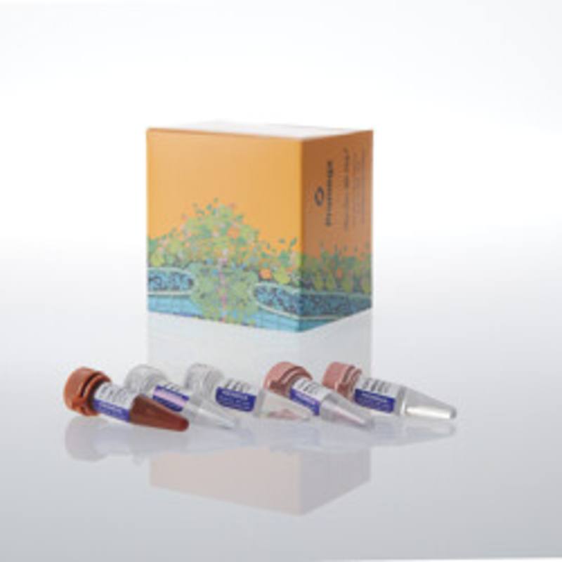 GoTaq(R) Endure qPCR Direct Amp Bundle