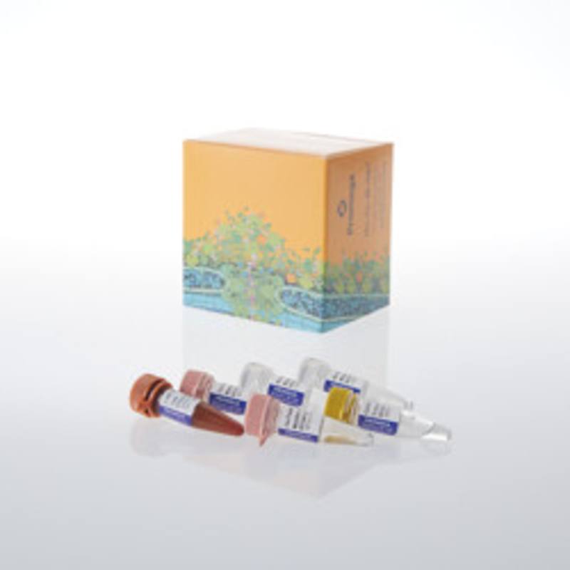 GoTaq(R) Endure RT-qPCR Direct Amp Bundle