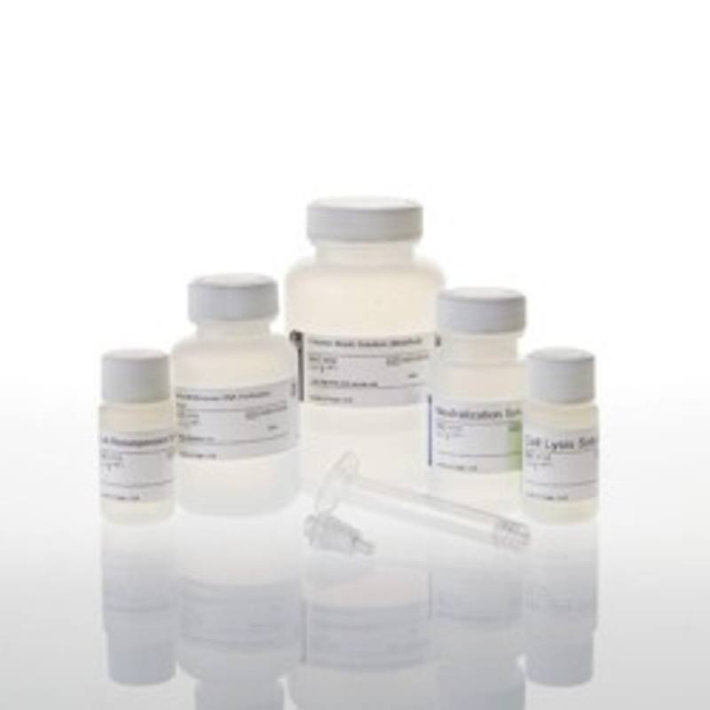 Wizard(R) Plus Minipreps DNA Purification System, 50 preps