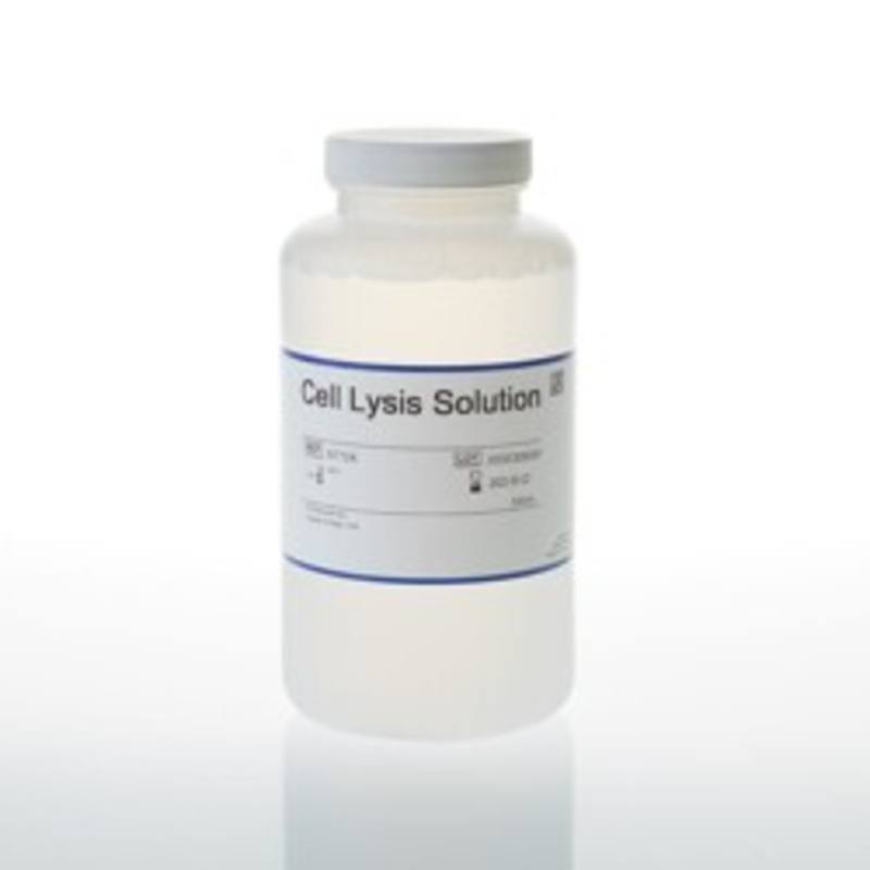Cell Lysis Solution, 500ml