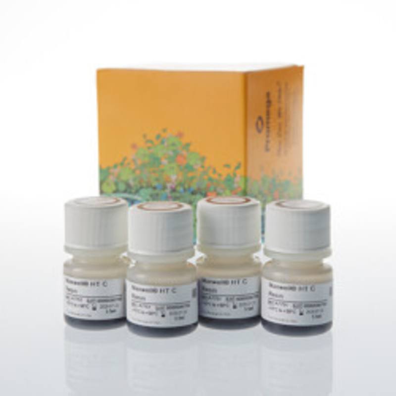Maxwell(R) HT C Resin, 5.5ml