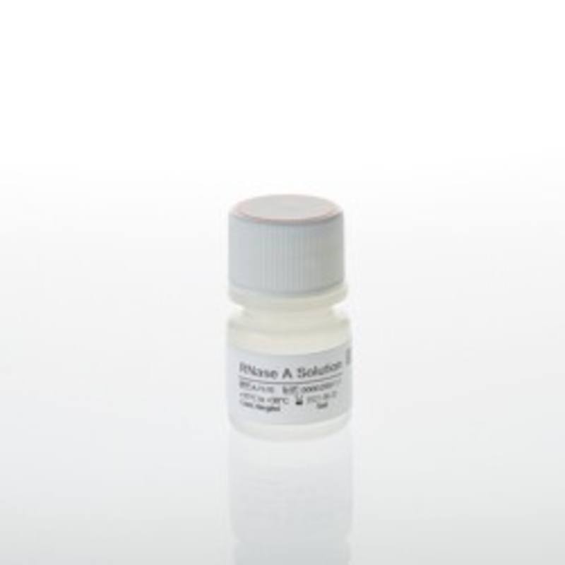 RNaseA Solution, 4mg/ml, 5ml