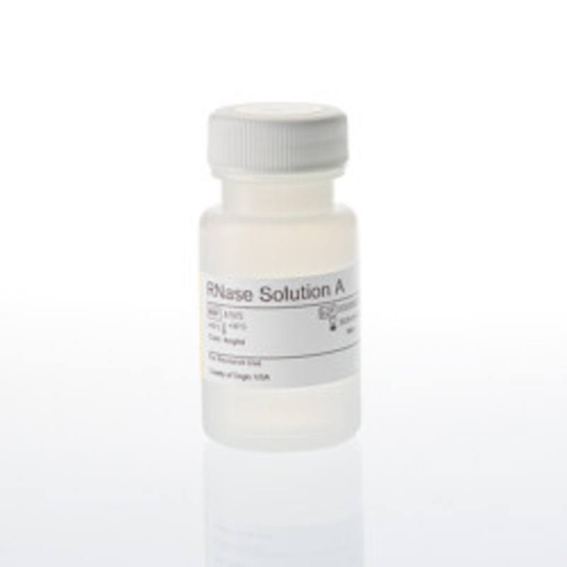 RNase Solution A, 4mg/ml,16ml