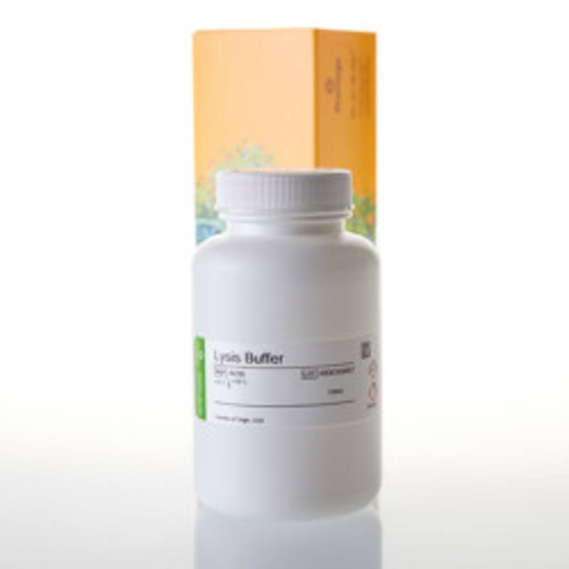Lysis Buffer, 150ml