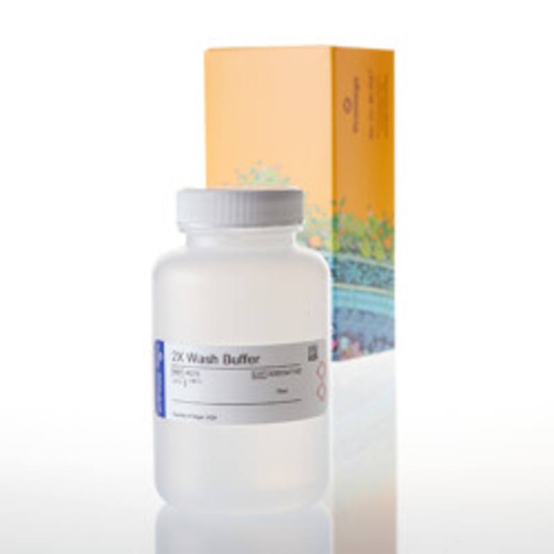 2X Wash Buffer, 70ml