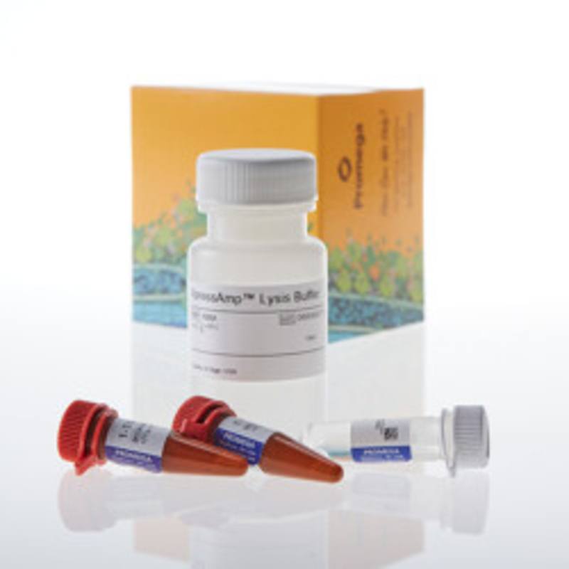 XpressAmp(TM) Direct Amplification Reagents