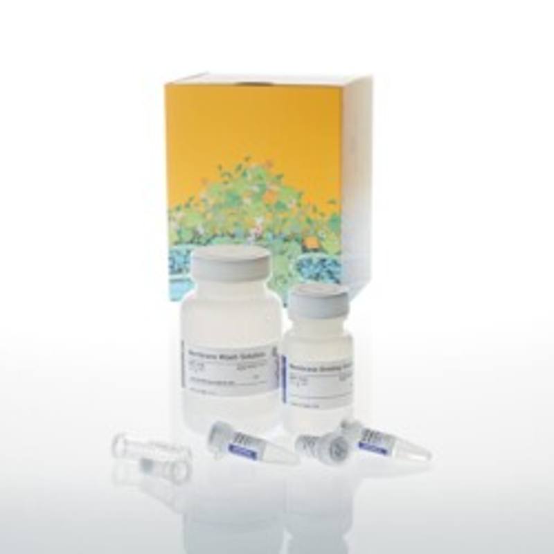 Wizard(R) SV Gel and PCR Clean-up System, 50 preps