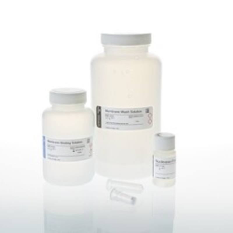 Wizard(R) SV Gel and PCR Clean-up System, 250 preps