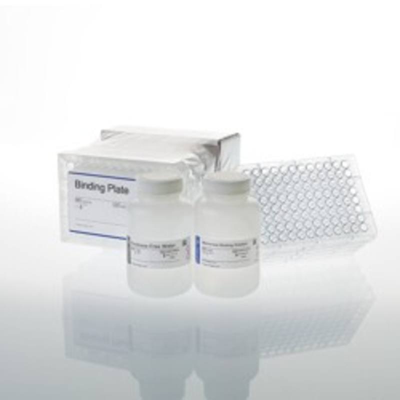 Wizard(R) SV 96 PCR Clean-Up System, 4 x 96