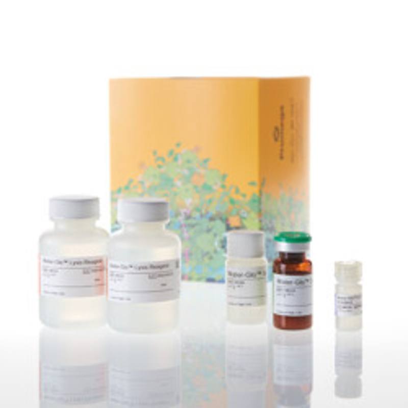 Water-Glo(TM) Reagents Aqueous