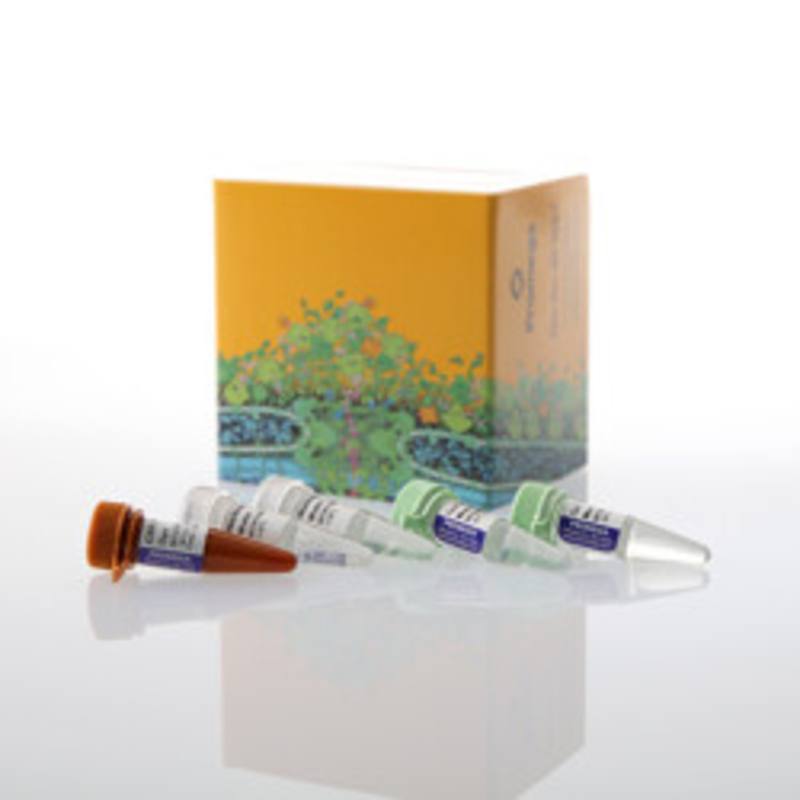 GoTaq(R) Enviro qPCR System, 200 rxn