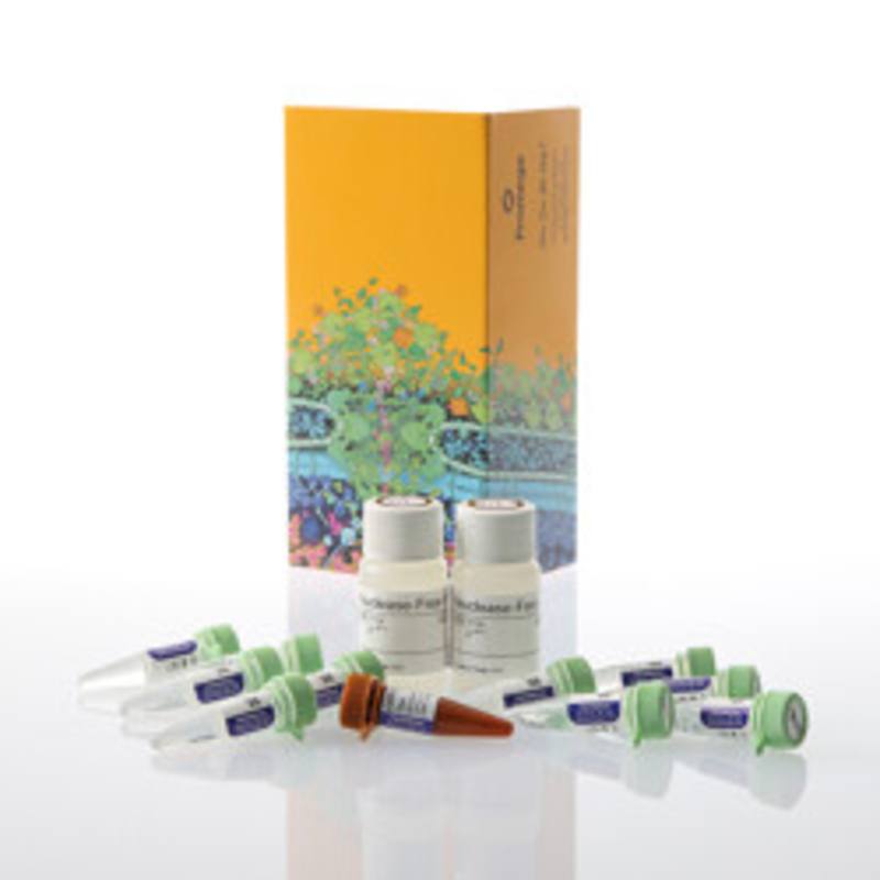 GoTaq(R) Enviro qPCR System, 1000 rxn