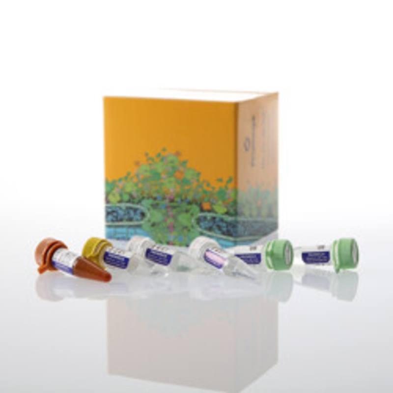 GoTaq(R) Enviro RT-qPCR System, 200 rxn