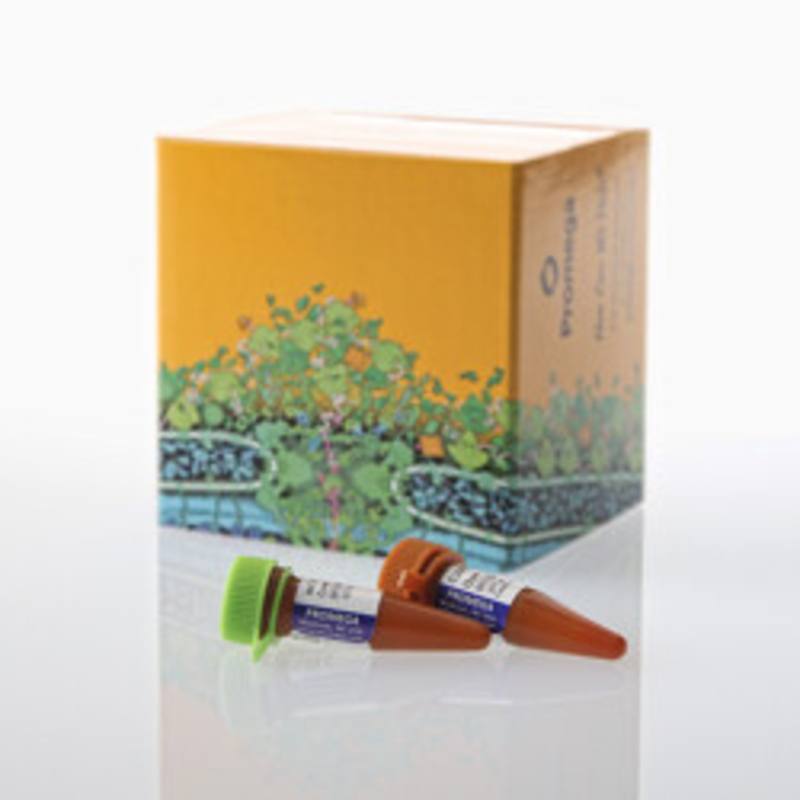 IAC RT-qPCR Inhibition Control Assay, CAL Fluor(R) 560