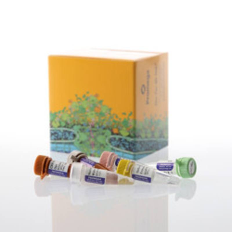 GoTaq(R) Enviro PMMoV Quant Kit, Quasar(R) 670
