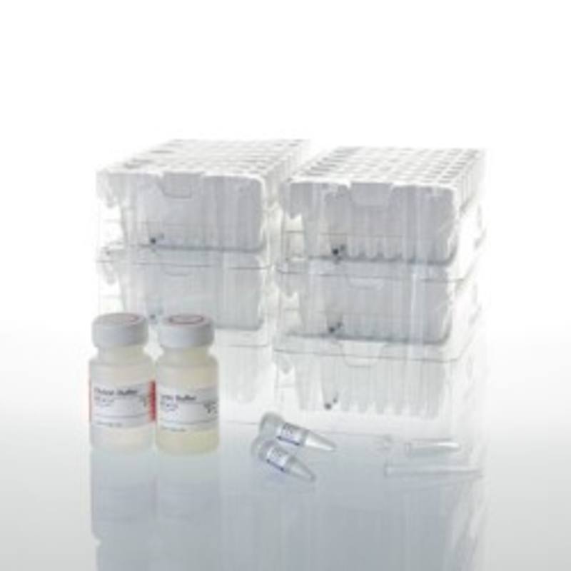 Maxwell(R) CSC Blood DNA Kit
