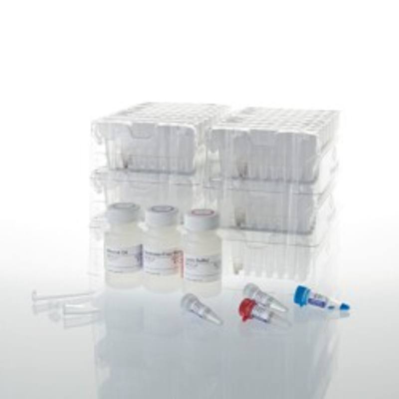 Maxwell(R) CSC DNA FFPE Kit