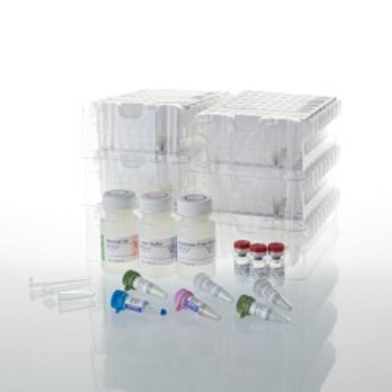 Maxwell(R) CSC RNA FFPE Kit
