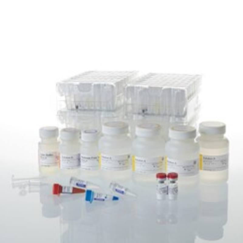 Maxwell(R) CSC RNA Blood Kit