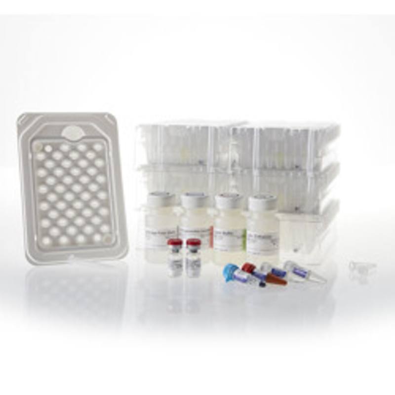 Maxwell(R) RSC miRNA Tissue Kit