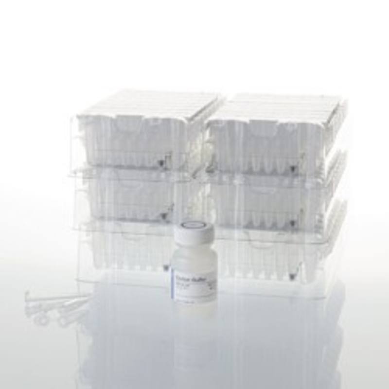 Maxwell(R) RSC ccfDNA Plasma Kit