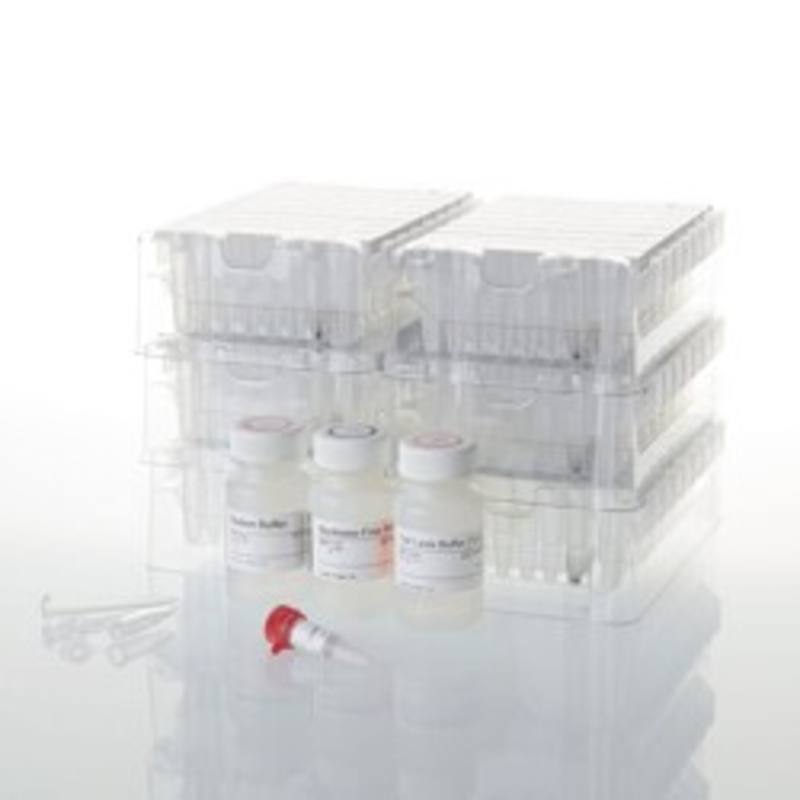 Maxwell(R) RSC Plant DNA Kit