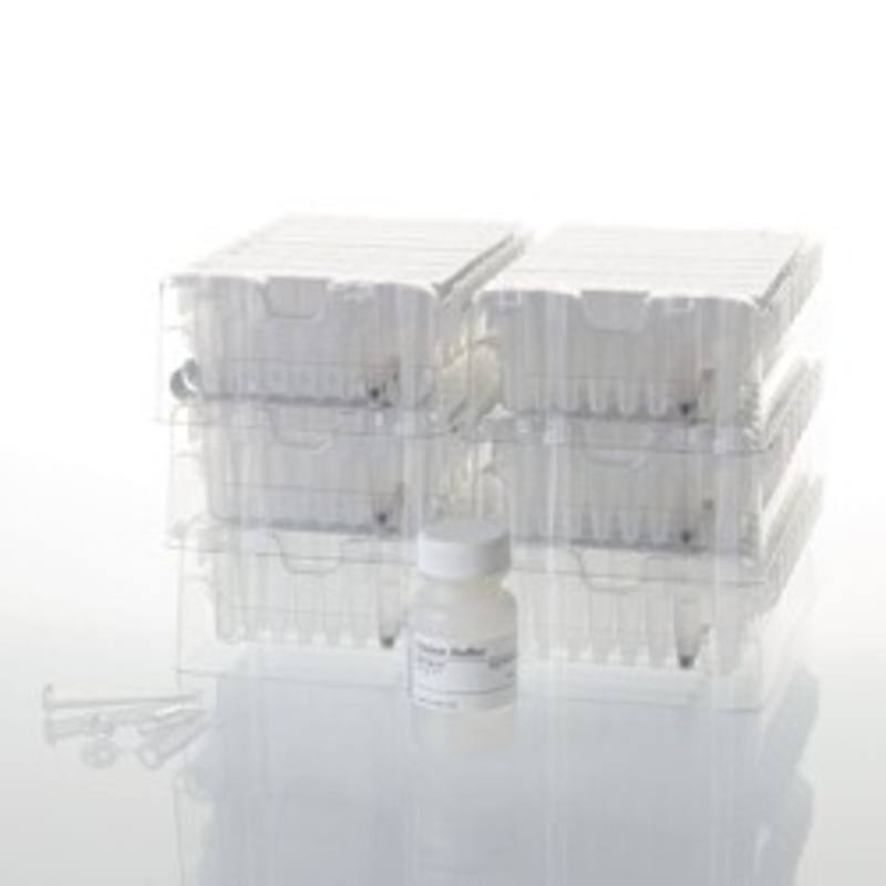 Maxwell(R) RSC Whole Blood DNA Kit