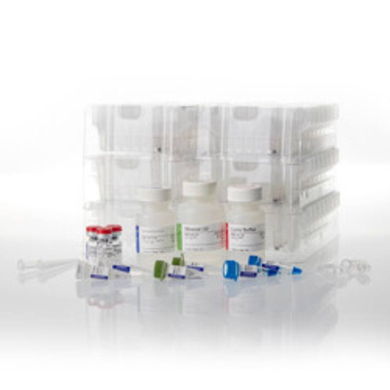Maxwell(R) CSC XtractAll FFPE DNA/RNA Kit