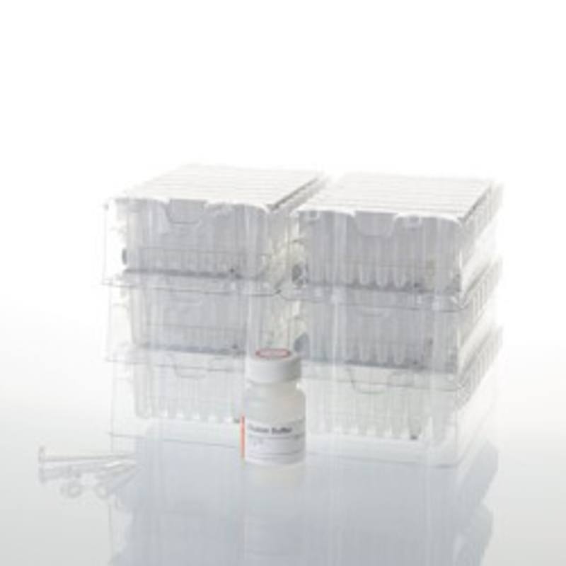 Maxwell(R) RSC Stabilized Saliva DNA Kit