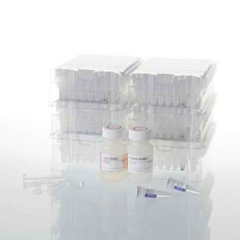 Maxwell(R) RSC Buccal Swab DNA Kit