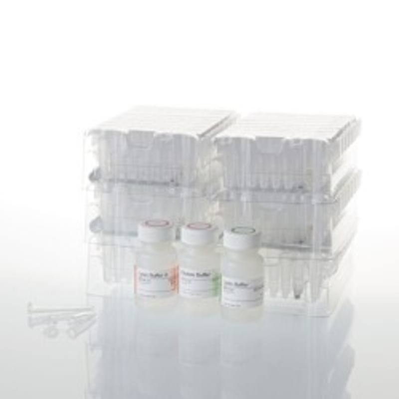 Maxwell(R) RSC PureFood Pathogen Kit
