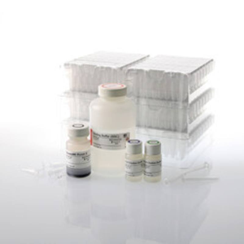 Maxwell(R) RSC ccfDNA LV Plasma Kit