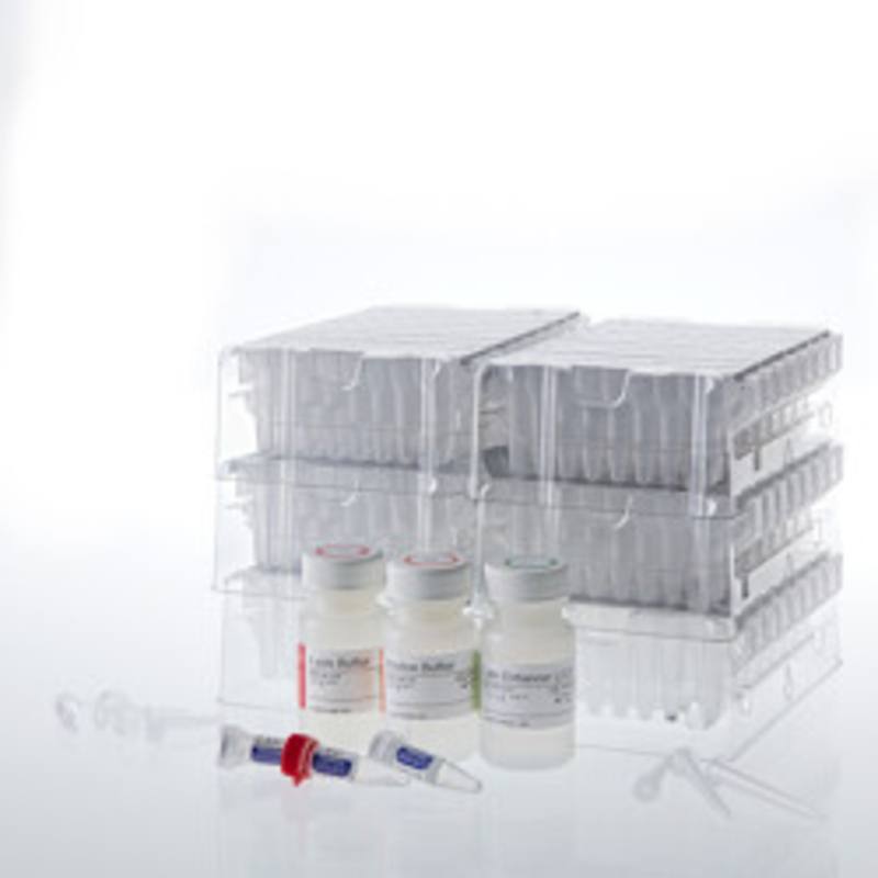 Maxwell(R) CSC Genomic DNA Kit