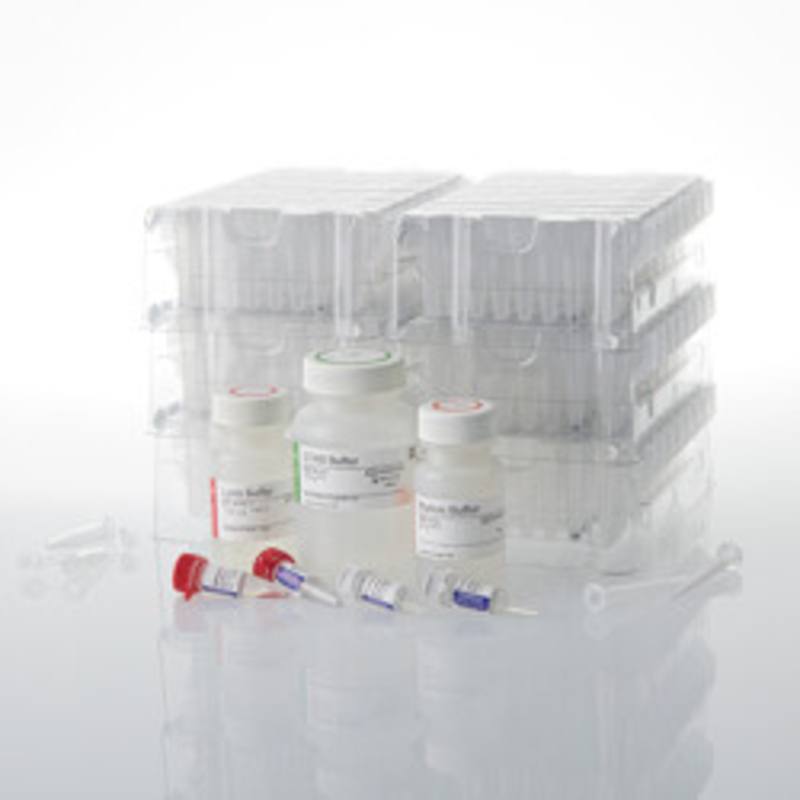 Maxwell(R) RSC PureWater Kit