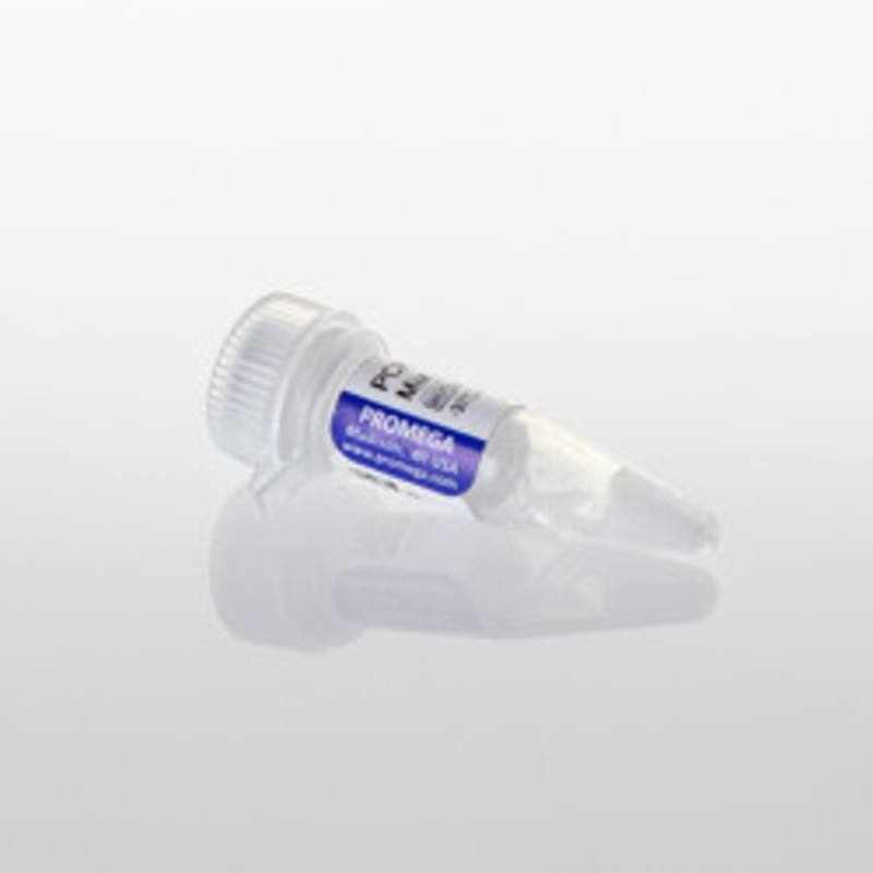 PCR Nucleotide Mix, 10mM, 200ul