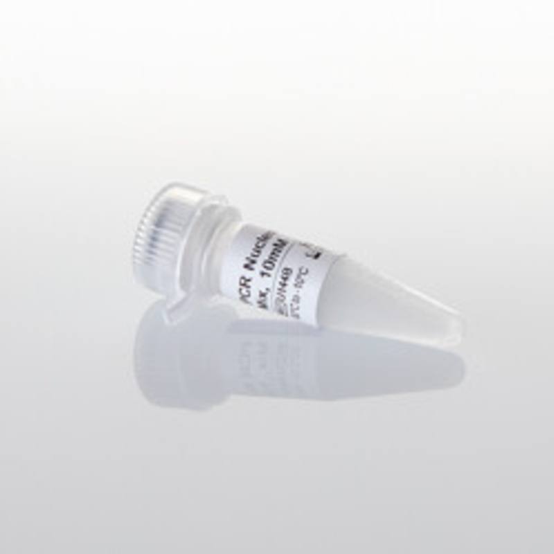 PCR Nucleotide Mix, 10mM, 1000ul