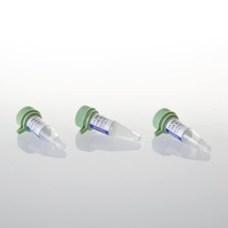 T4 DNA Ligase Buffer Pack