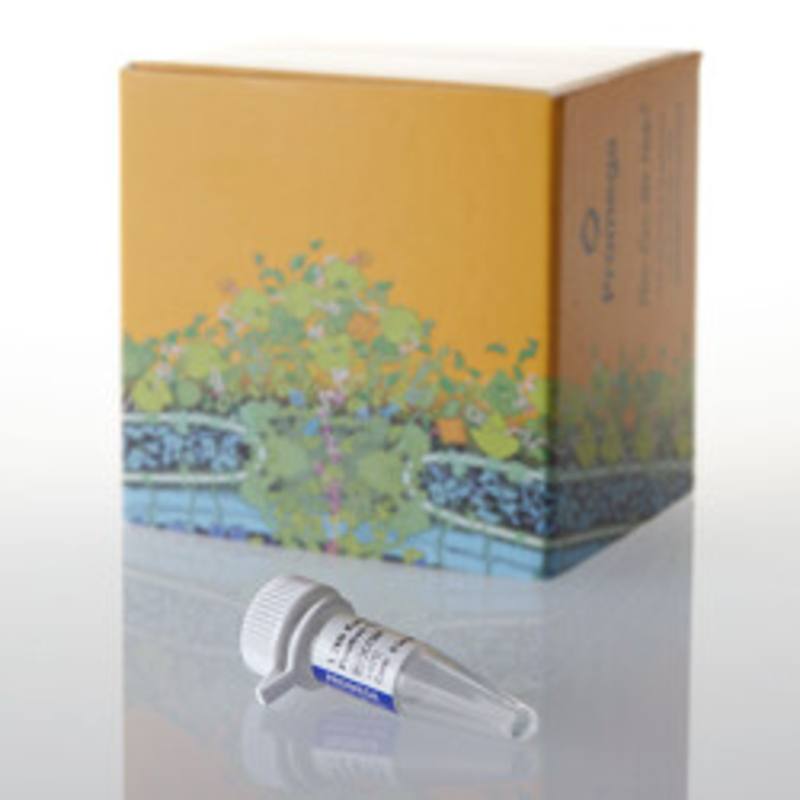 1.2kb Kanamycin Positive Control RNA (0.5mg/ml), 5ug