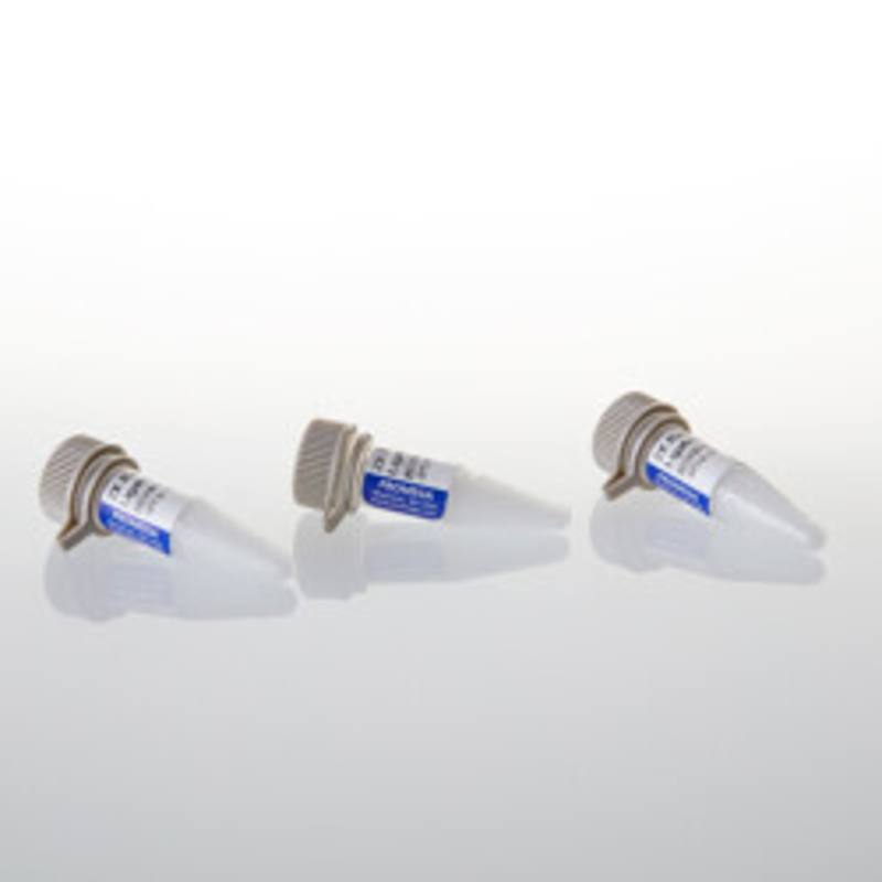 2X Rapid Ligation Buffer, 3 x 500ul