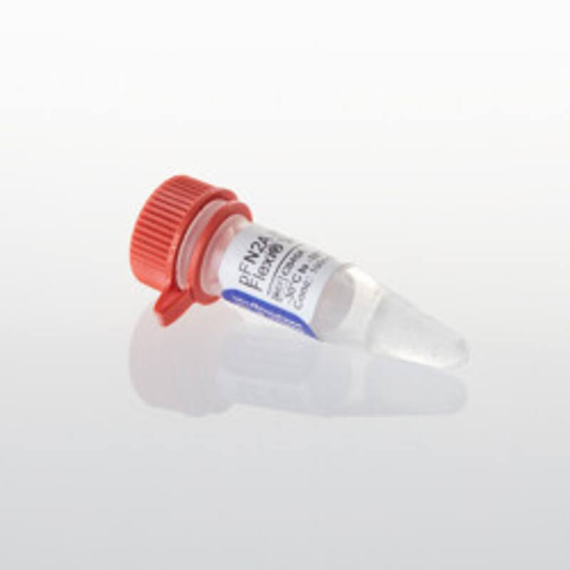 pFN2A (GST) Flexi(R) Vector, 20ug