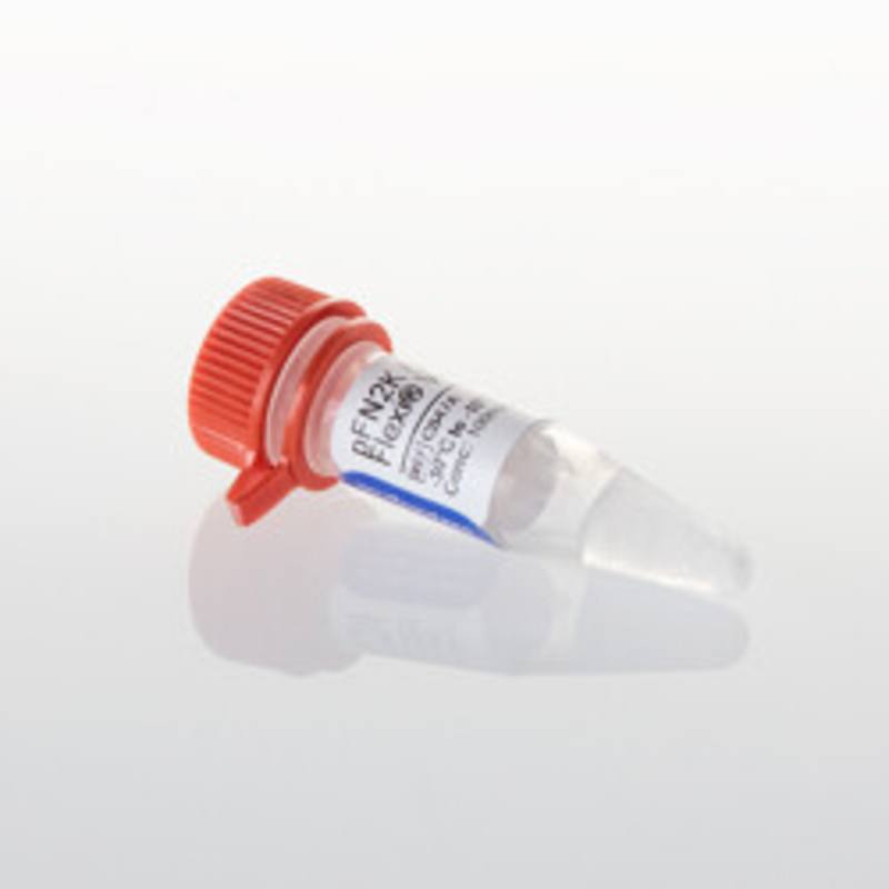 pFN2K (GST) Flexi(R) Vector, 20ug