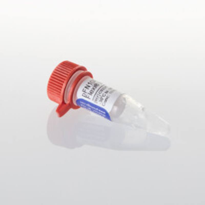 pFN10A (ACT) Flexi(R) Vector, 20ug