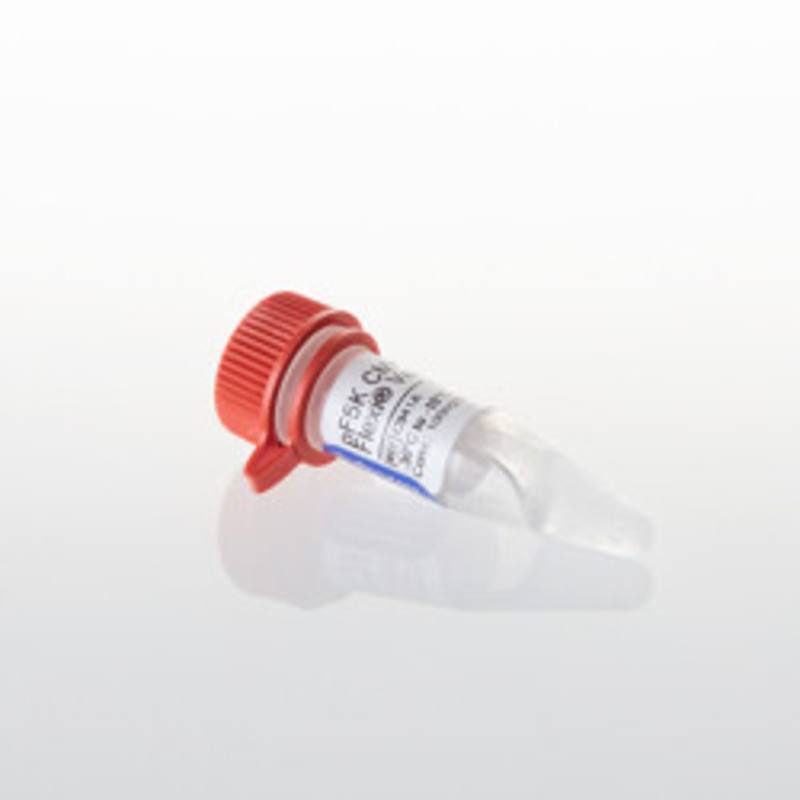 pF5K CMV-neo Flexi(R) Vector, 20ug