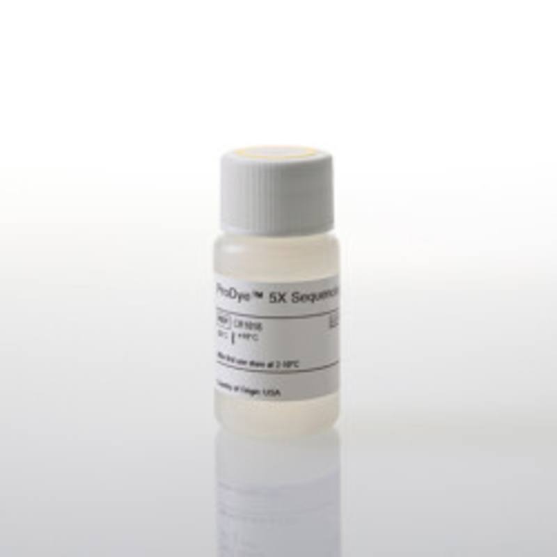 ProDye(TM) 5X Sequencing Buffer, 12ml