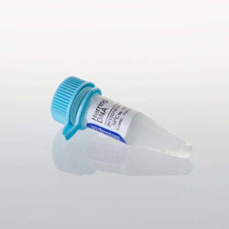 Herring Sperm DNA, 10mg
