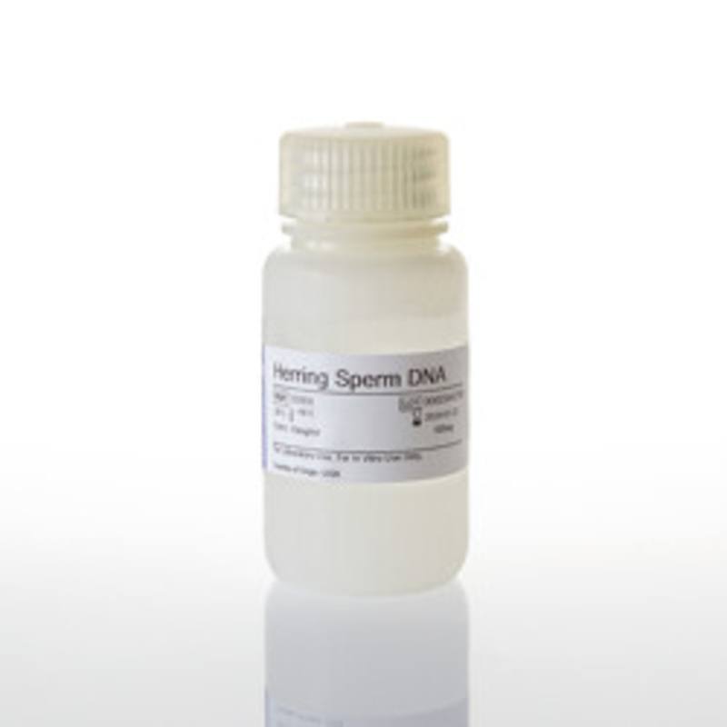 Herring Sperm DNA, 500mg