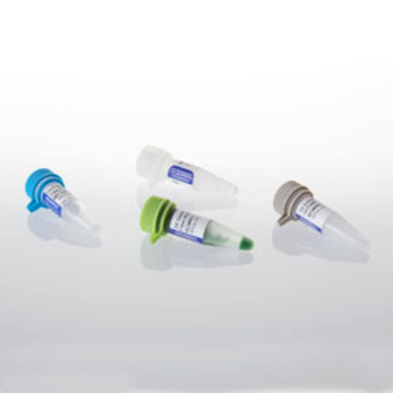 GoTaq(R) MDx Taq Polymerase, 100u